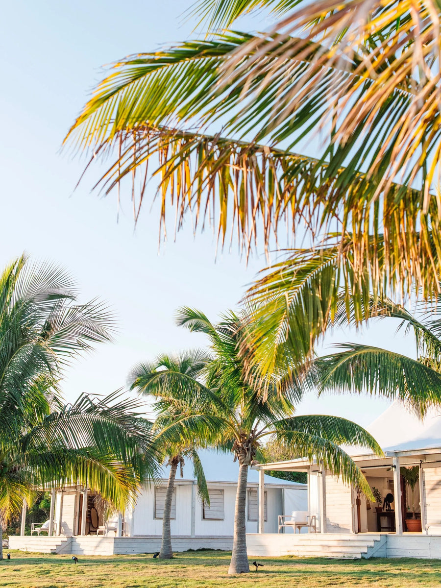 Tropical resort scene with palm trees in front of white resort buildings under a clear blue sky.
