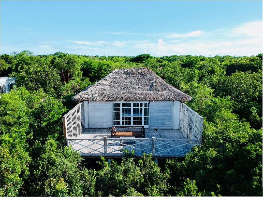 Aerial view of a small thatched-roof cabin or bungalow elevated above dense green forest, with a wooden bench on a small deck and white walls under a blue sky.