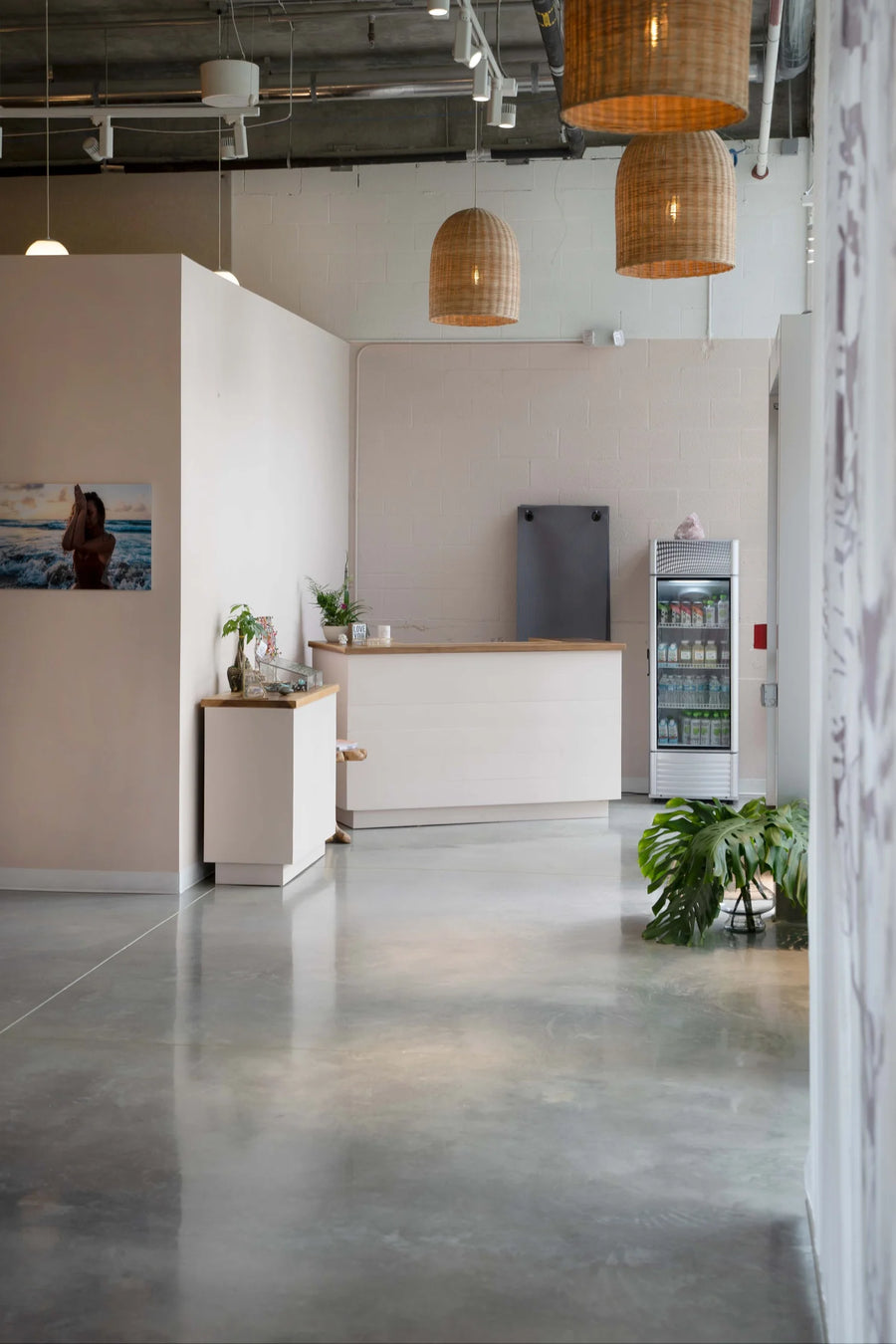 A modern interior space with a polished concrete floor, white partition walls, a reception desk, a small refrigerator, hanging woven pendant lights, and potted green plants.