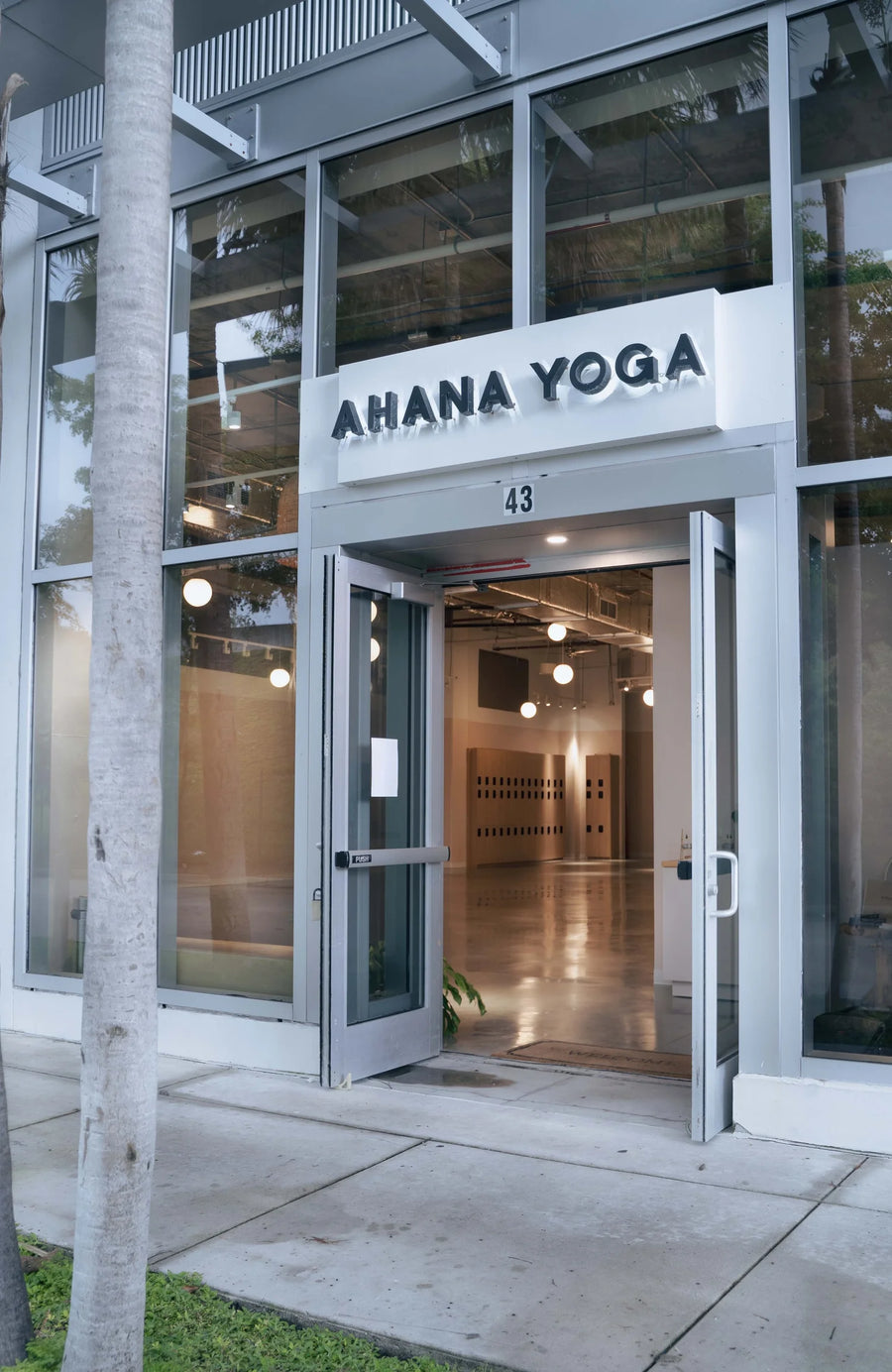 The entrance to Ahana Yoga studio, featuring glass double doors with silver frames, a white sign above the door with black lettering, and a modern glass facade. A tree trunk is visible on the left foreground.