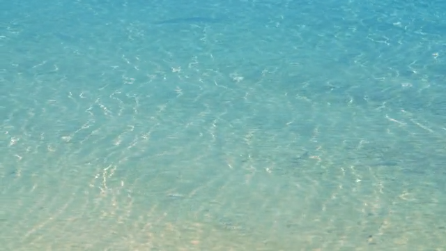Clear turquoise ocean water with gentle ripples and light filtering through the surface.